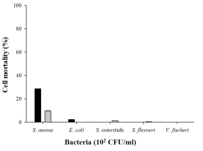 다양한 박테리아 균주에 대한 vac 및 SA_vac의 항균 효과 (S. aureus, E. coli, S. enteritidis, S. flexneri, V. fischeri)
