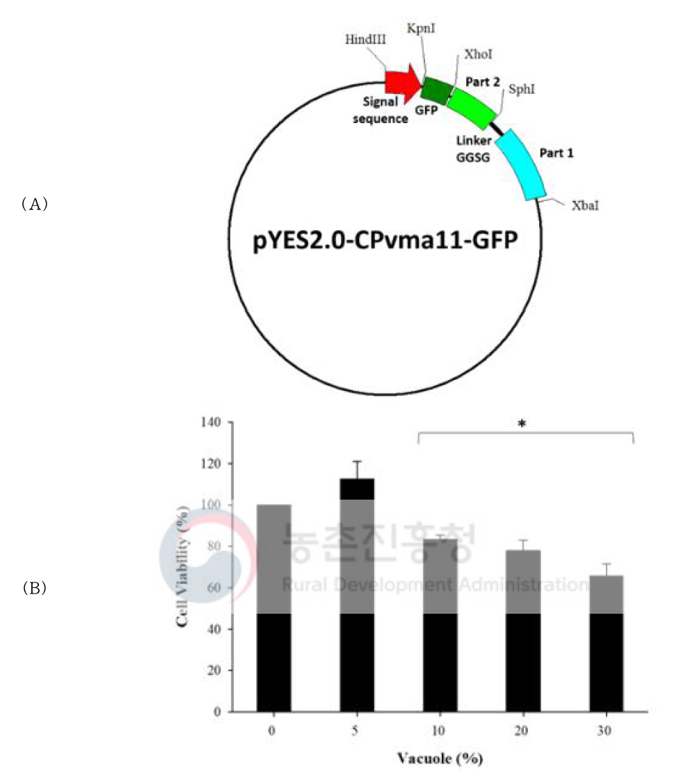 (A) 타겟 펩티드를 vacuolar membrane으로 유도하는 신호 서열을 함유하는 플라스미드 pYES2-CPvma11-GFP. (B) 106 CFU/ml 농도에서 S. aureus의 성장에 대한 엔도솜의 농도별 항균 활성 효과