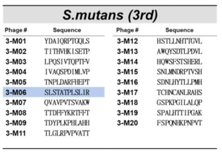 충치균(S. mutansi)을 표적으로 한 3차 바이오패닝에의해 선별된 파지의 DNA서열]