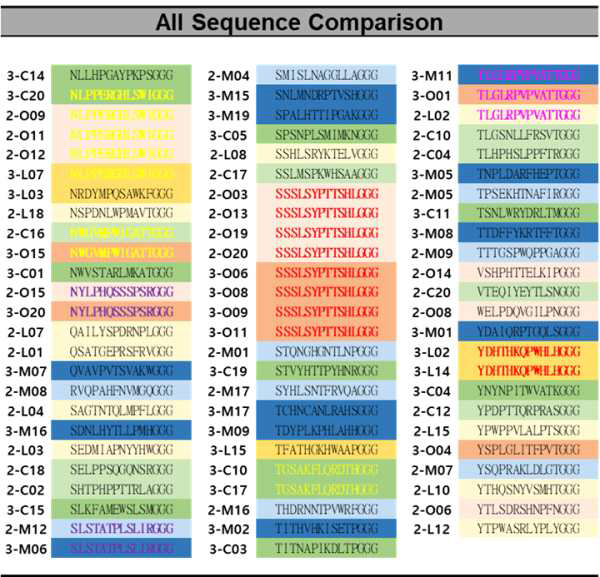 모든 표적에 대해 특이적으로 결합하는 파지의 DNA 서열분석 비교