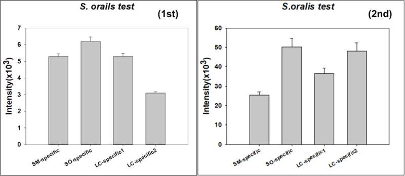 합성된 4종의 펩타이드의 S. oralis에 대한 친화력(좌: 농도 10ug/ml, 우: 농도 50ug.ml)
