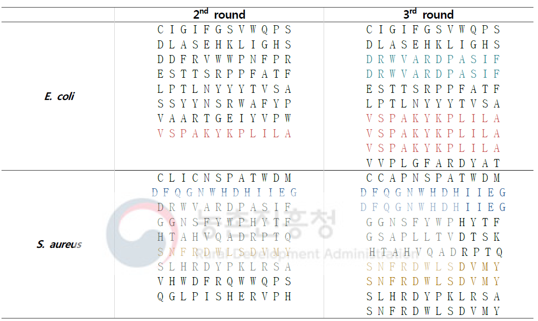 특이적 서열 선별을 위한 3 panning 후 peptide 서열 분석 결과