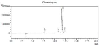 합성된 common peptide의 순도확인을 위한 HPLC 분석 결과