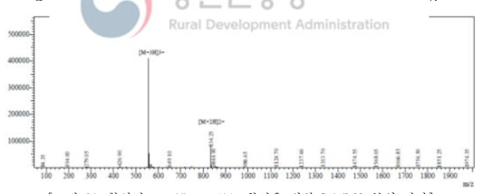 합성된 specific peptide 확인을 위한 LC/MS 분석 결과