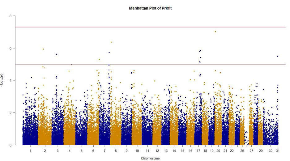 Genomic scan of Milk Production Profit with -log₁₀(P) analysis for association with SNP. The blue horizontal line means a significance levels