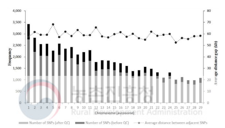 Number of SNPs and average distance between adjacent SNPs after quality control (QC) processes in each chromosome