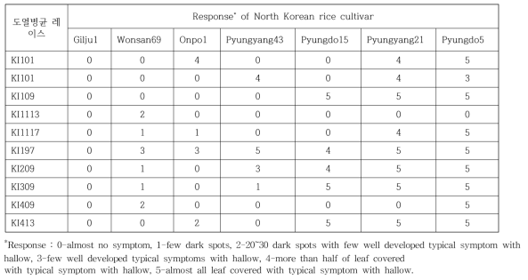 남한에서 분리된 대표 KI 레이스 도열병균에 대한 북한 품종들의 반응