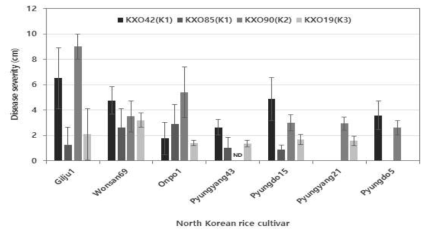 남한의 3개 대표 벼흰잎마름병균 레이스에 대한 북한 대표 품종의 반응