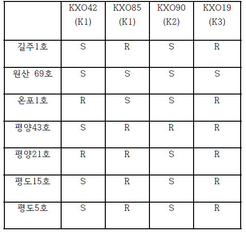 남한 균형에 대한 북한 품종 반응