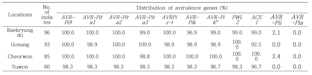 각 지역에서 분리된 도열병균의 비병원성 유전자 PCR 검정 결과