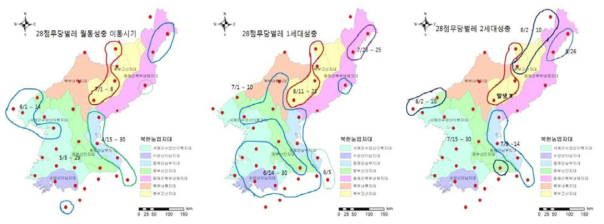 큰28점박이무당벌레 발생시기 추정