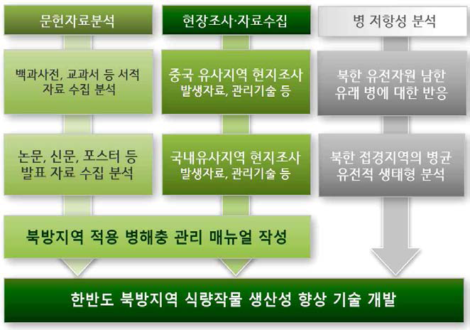 전체 연구 방법 모식도