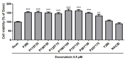 Doxorubicin으로 노화된 피부세포에서 노랑느타리버섯과 닥나무 가지 추출 혼합물의 세포독성 P:닥나무가지 추출물, Y:노랑느타리버섯 추출물, 단위: μg/mL, NAC 20, N-Acetyl-L-cysteine 20 μM. 통계적 의의: * 은 Doxo와 비교하여 p<0.05, ***은 Doxo와 비교하여 p<0.001