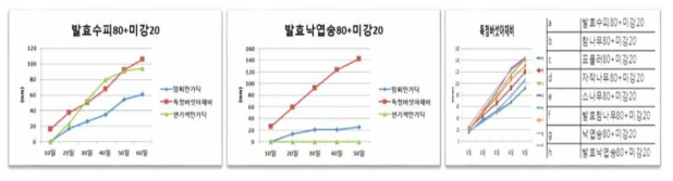 톱밥종류에 따른 균사생장 확인