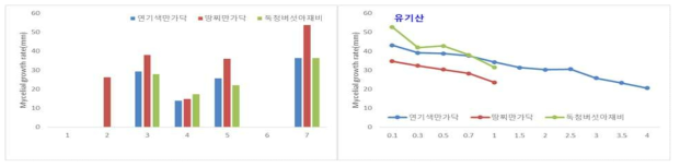 유기산 종류 및 농도별 균사생장 확인