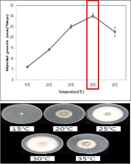 공생균의 온도별 균사 생육
