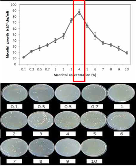 흰목이버섯의 mannitol 농도별 균사 생육