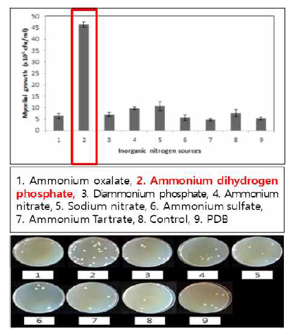 흰목이버섯의 무기질소원별 균사 생육