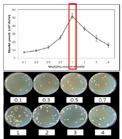 흰목이버섯의 (NH4)2C4H4O6 농도별 균사 생육