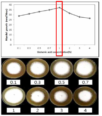 공생균의 glutamic acid 농도별 균사 생육