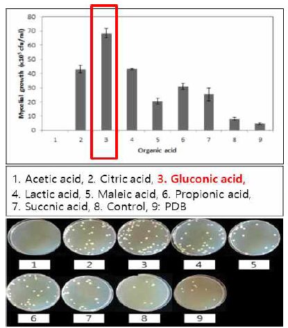 흰목이버섯의 유기산별 균사 생육