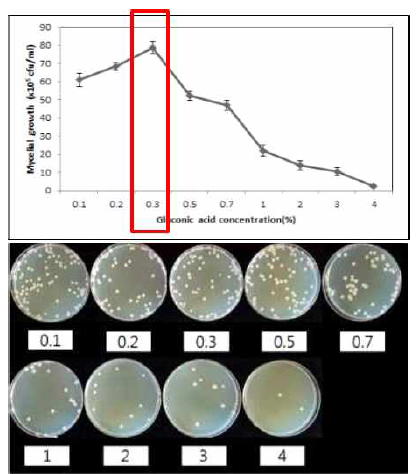 흰목이버섯의 gluconic acid 농도별 균사 생육