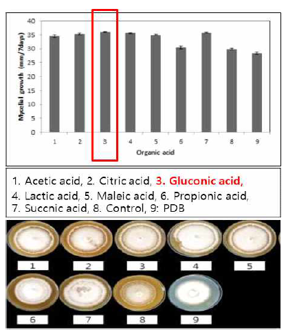 공생균의 유기산별 균사 생육