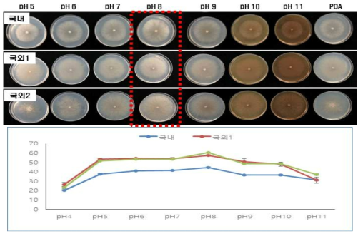 수집 곰보버섯의 pH별 균사 생육