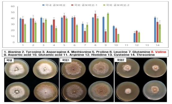 아미노산의 종류에 따른 곰보버섯의 균사 생육