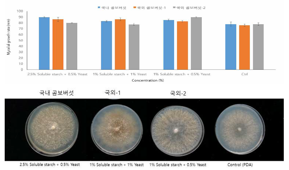 선발 곰보버섯 균사배양 조건과 대조구와 비교시험