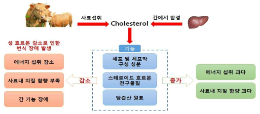 혈중 cholesterol 농도와 번식관계