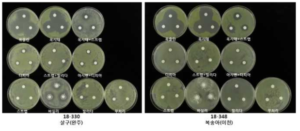 세균구멍병균의 작물보호제별 생육저지원 형성 검정 사진(옥솔린 : 옥솔린산, 옥시테+스트렙 : 옥시테트라사이클린+스트렙토마이신, 옥시테 : 옥시테트라사이클린, 디치아논 : 디치아논, 바실러스 : 바실러스 서브틸리스큐에스티713, 발리다 : 발리다마이신, 스트렙토 : 스트렙토마이신, 아시벤+디치아논 : 아시벤졸라-S-메칠+디치아논, 스트렙+발리다 : 스트렙토마이신+발리다마이신, 무처리)