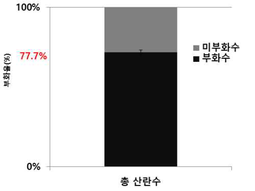뽕나무깍지벌레의 1세대 부화율(2017∼2019)