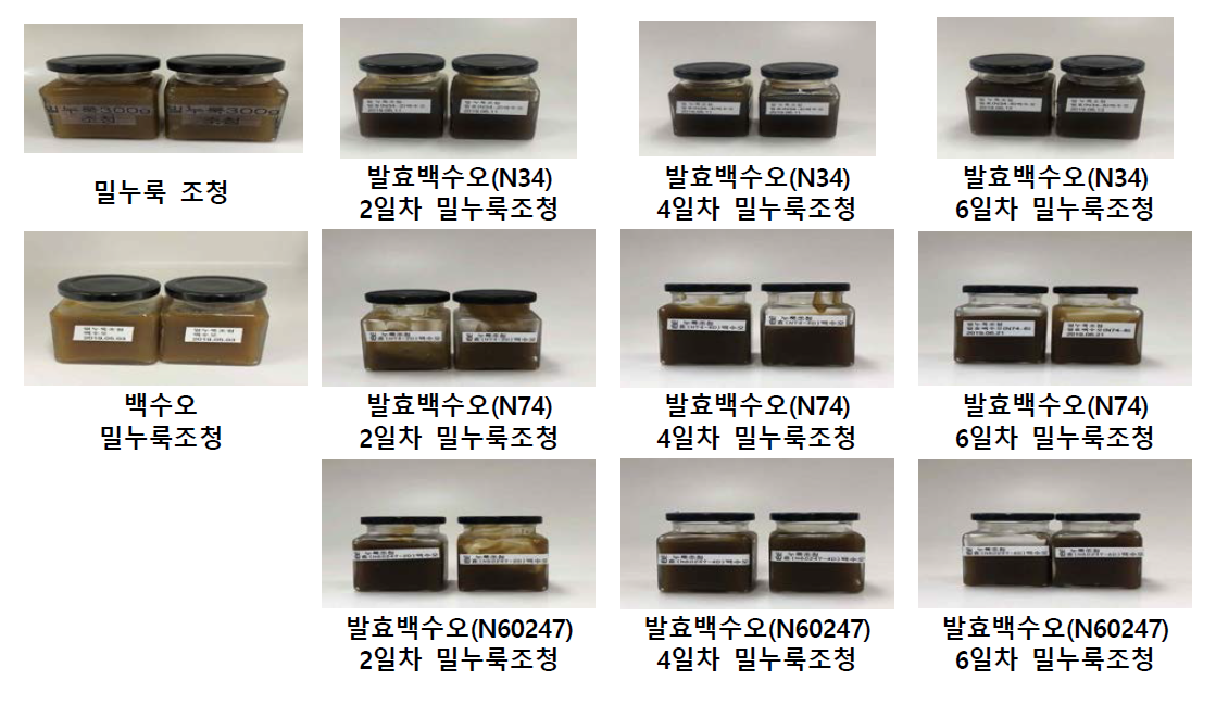 발효기간에 따른 백수오 조청 제조