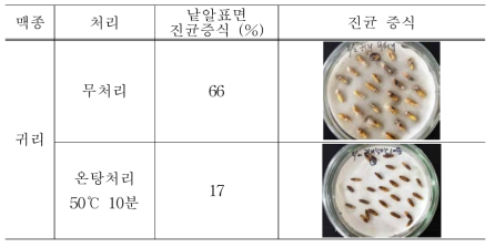 귀리 온탕처리에 의한 진균 저감