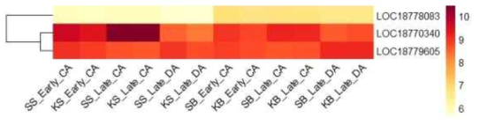 Heatmap, based on log2(FPKM+1) values, on expression level of calmodulins in the shoots (SS or KS) and buds (SB or KB) of ‘Soomee’ and ‘Kiraranokiwami’ peach trees at early cold acclimation (CA), late CA, and late deacclimation (DA) stages