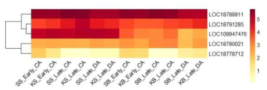 Heatmap, based on log2(FPKM+1) values, on expression level of calcium-binding proteins in the shoots (SS or KS) and buds (SB or KB) of ‘Soomee’ and ‘Kiraranokiwami’ peach trees at early cold acclimation (CA), late CA and late deacclimation (DA) stages
