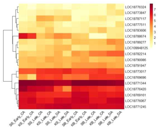 Heatmap, based on log2(FPKM+1) values, on expression level of probable calcium-binding proteins in the shoots (SS or KS) and buds (SB or KB) of ‘Soomee’ and ‘Kiraranokiwami’ peach trees at early cold acclimation (CA), late CA, and late deacclimation (DA) stages