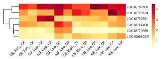Heatmap, based on log2(FPKM+1) values, on expression level of calmodulin-like proteins in the shoots (SS or KS) and buds (SB or KB) of ‘Soomee’ and ‘Kiraranokiwami’ peach trees at early cold acclimation (CA), late CA, and late deacclimation (DA) stages