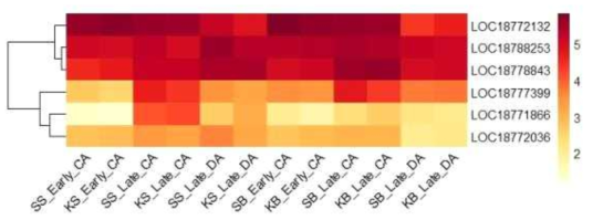 Heatmap, based on log2(FPKM+1) values, on expression level of calmodulin-binding proteins in the shoots (SS or KS) and buds (SB or KB) of ‘Soomee’ and ‘Kiraranokiwami’ peach trees at early cold acclimation (CA), late CA, and late deacclimation (DA) stages