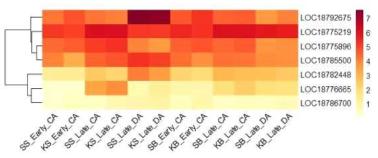 Heatmap, based on log2(FPKM+1) values, on expression level of calcineurin B-like proteins in the shoots (SS or KS) and buds (SB or KB) of ‘Soomee’ and ‘Kiraranokiwami’ peach trees at early cold acclimation (CA), late CA, and late deacclimation (DA) stages
