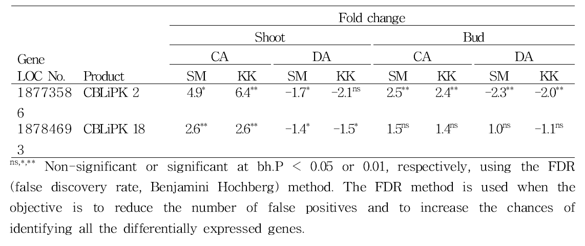 Fold changes in expression level of CBL-interacting protein kinases (CBLiPKs) in the shoots and buds of ‘Soomee’ (SM) and ‘Kiraranokiwami’ peach trees (KK) during cold acclimation (CA) and deacclimation (DA)