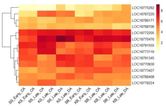 Heatmap, based on log2(FPKM+1) values, on expression level of CBL-interacting serine/threonine protein kinases in the shoots (SS or KS) and buds (SB or KB) of ‘Soomee’ and ‘Kiraranokiwami’ peach trees at early cold acclimation (CA), late CA, and late deacclimation (DA) stages
