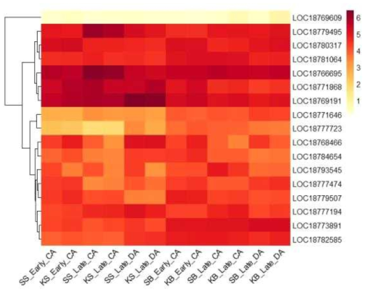 Heatmap, based on log2(FPKM+1) values, on expression level of calcium-dependent protein kinases in the shoots (SS or KS) and buds (SB or KB) of ‘Soomee’ and ‘Kiraranokiwami’ peach trees at early cold acclimation (CA), late CA, and late deacclimation (DA) stages