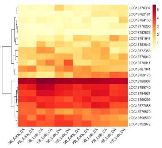 Heatmap, based on log2(FPKM+1) values, on expression level of mitogen-activated protein kinase kinase kinases in the shoots (SS or KS) and buds (SB or KB) of ‘Soomee’ and ‘Kiraranokiwami’ peach trees at early cold acclimation (CA), late CA, and late deacclimation (DA) stages