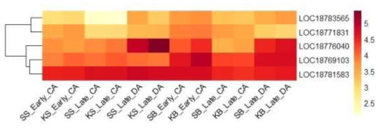 Heatmap, based on log2(FPKM+1) values, on expression level of mitogen-activated protein kinase kinases in the shoots (SS or KS) and buds (SB or KB) of ‘Soomee’ and ‘Kiraranokiwami’ peach trees at early cold acclimation (CA), late CA, and late deacclimation (DA) stages