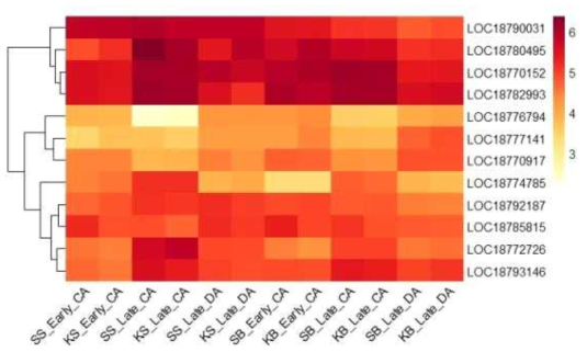 Heatmap, based on log2(FPKM+1) values, on expression level of mitogen-activated protein kinases in the shoots (SS or KS) and buds (SB or KB) of ‘Soomee’ and ‘Kiraranokiwami’ peach trees at early cold acclimation (CA), late CA, and late deacclimation (DA) stages