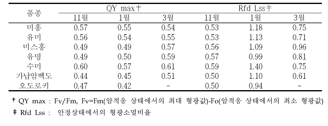 저온처리 후 주요 품종별 엽록소형광이미지분석 데이터 비교(‘18~’19)