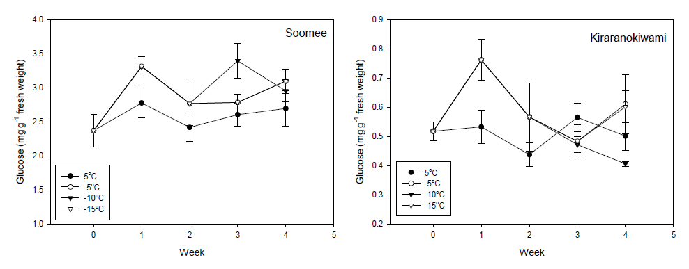복숭아 ‘수미’와 ‘키라라노키와미’의 순화 온도에 따른 glucose 함량 변화