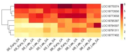 Heatmap, based on log2(FPKM+1) values, on expression level of AP2-like ethylene-responsive transcription factors in the shoots (SS or KS) and buds (SB or KB) of ‘Soomee’ and ‘Kiraranokiwami’ peach trees at early cold acclimation (CA), late CA, and late deacclimation (DA) stages